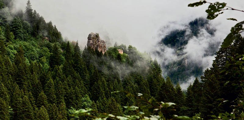 Karadeniz ve Batum Rüyası