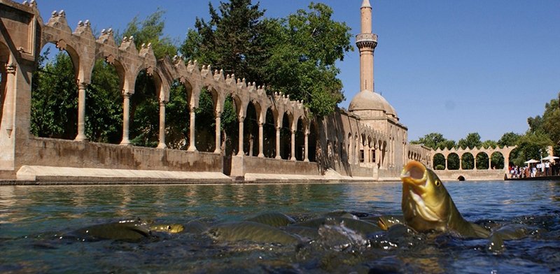 Gap Rüzgarı Turu